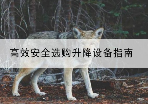 庐山升降货梯厂家推荐-*安全选购升降设备指南