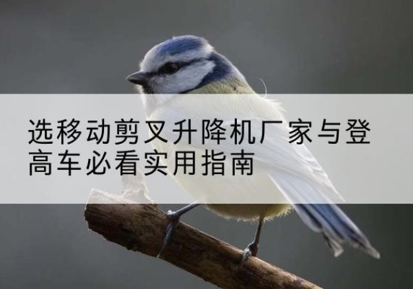 庐山电动升降机厂家-选移动剪叉升降机厂家与登高车必看实用指南